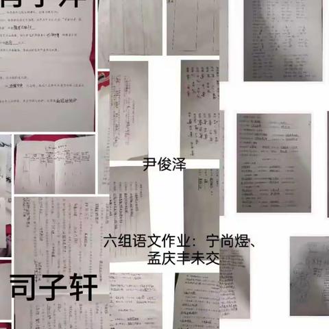 六组语文数学英语物理生物地理国庆假期作业反馈