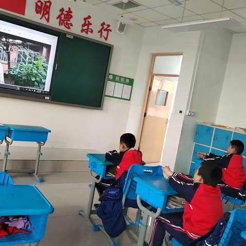 龙居镇中心学校三年级二班防欺凌安全教育主题班会