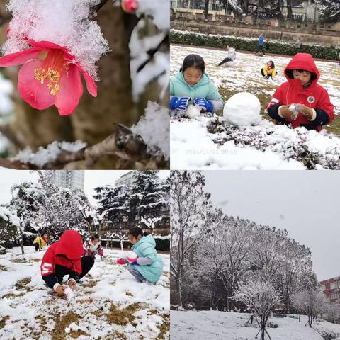 雪