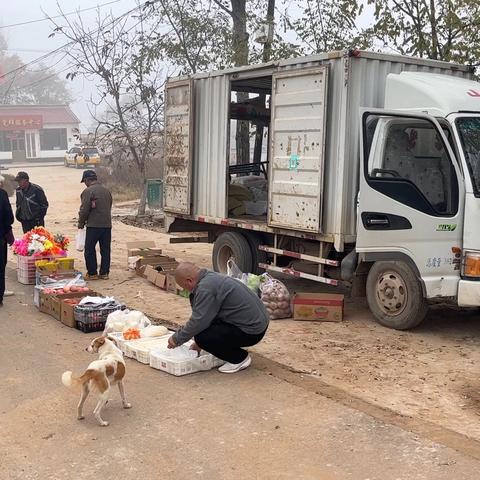 村里的流动便民售货车