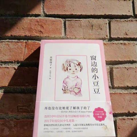 襄阳职业技术学院五年学前教育2201张藩梓橦读书心得