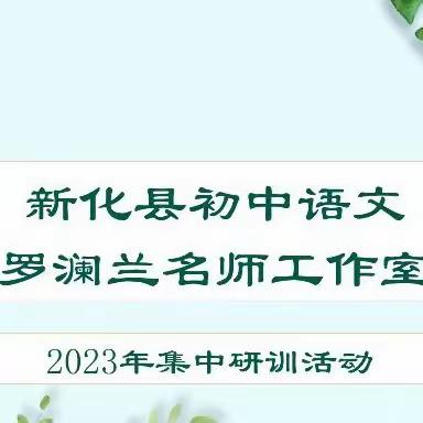 教研花开盛夏日，深思细悟助成长