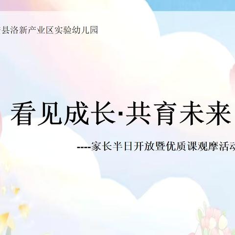看见成长·共育未来——新安县洛新产业区实验幼儿园家长半日开放暨优质课观摩活动