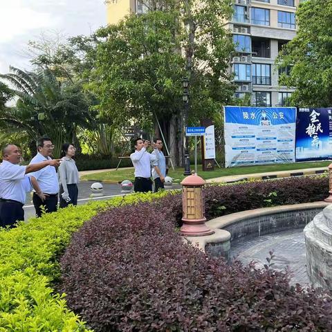 住房保障管理中心开展物业住宅小区基孔肯雅热等蚊媒传染病防控工作专项检查