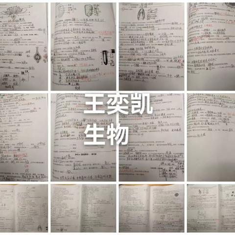六组生物作业点评：总体良好