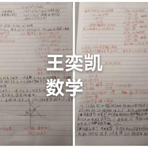六组数学作业评价：总体交作业及时，完成度高且认真