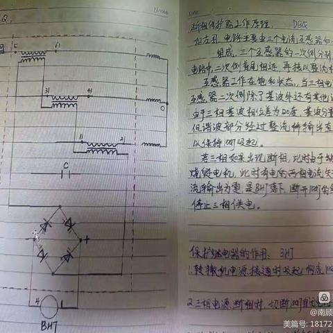 周总结