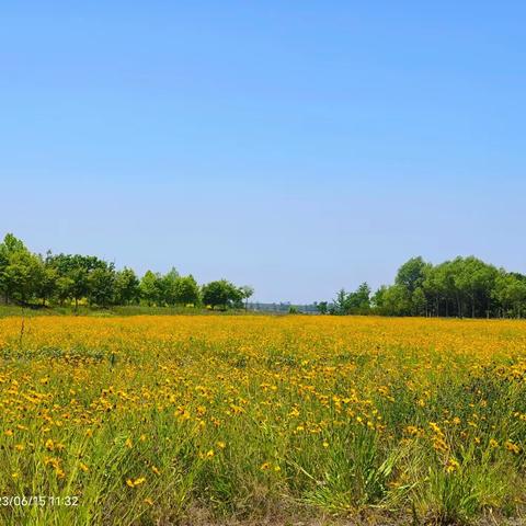 庄河市兰店乡卫生院