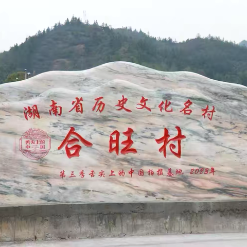 合旺村微月刊——第六期（铁“汗”柔“勤”、八九共赢）