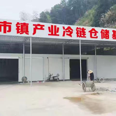 排形村冷库正式营业，山塘镇三大班子现场指导藠头入库