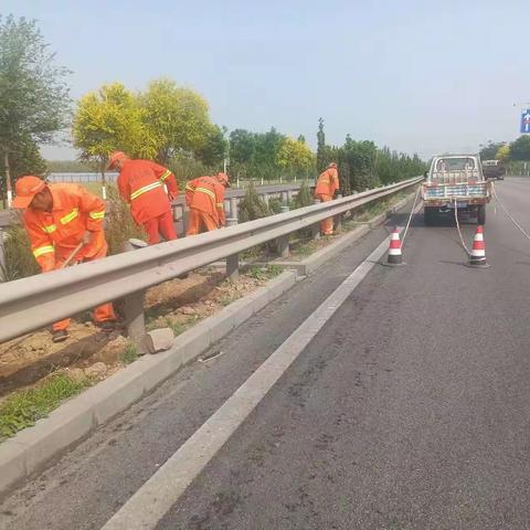 任泽区公路管理站圆满完成大外环路域环境整治工作