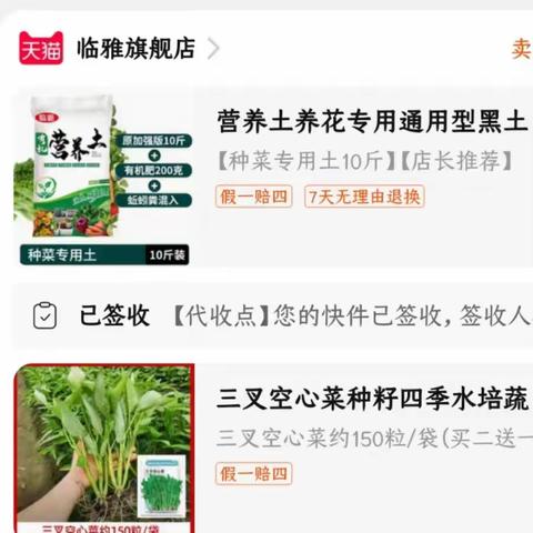 种下种子，收获喜悦——空心菜种植记