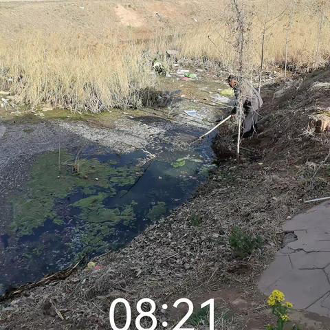 清水绿岸入画来，河道清理焕新颜