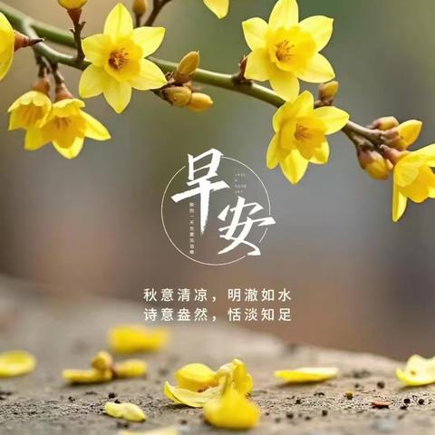 张晓云的美篇