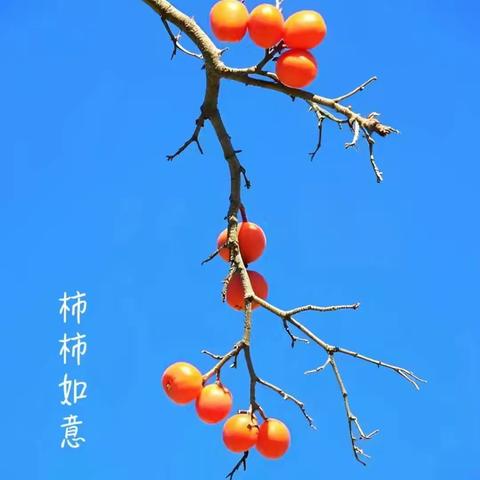 张晓云的美篇