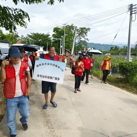 陵水县本号110服务站举办农业科技培训，助力乡村振兴
