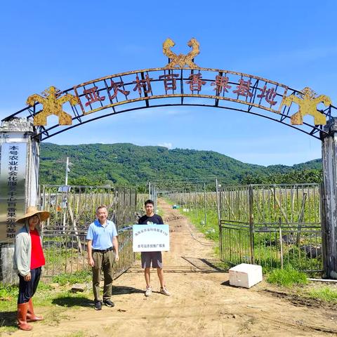 科技 110  本号服务站积极响应号召下沉基层一线开展抗风救灾