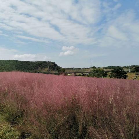巢湖市健身秧歌协会下基层举办健身展示