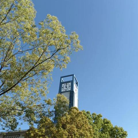 襄阳职业技术学院 师范学院教特殊教育学院学前2108明欣