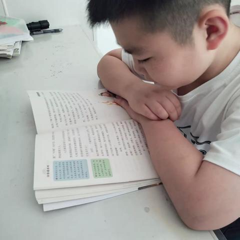 大家好！我是池阳小学四年级一班张睿琦，现在正在参加“微阅读”“微背古诗”“微练字”