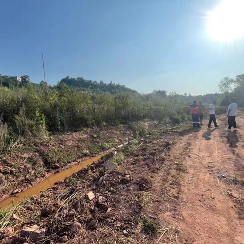 参天工业园——高温难阻奋进路，永荣镇农田改造项目绽放合作新光芒