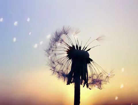 关于婚姻的20条忠告