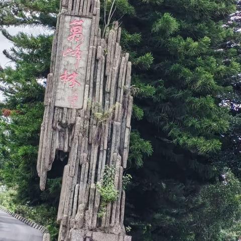 同学聚会--万峰林小站