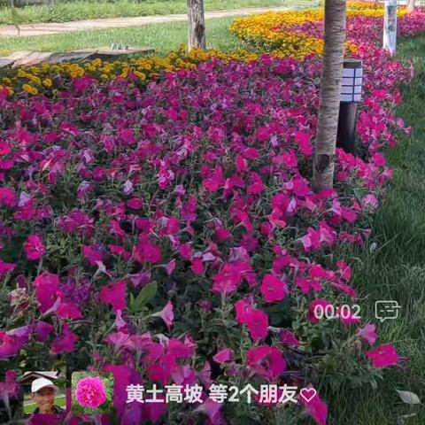 宝鸡福泽康养集团 太白县东大街社区老年人日间照料中心  ——话团圆庆国庆，康养快乐度双节