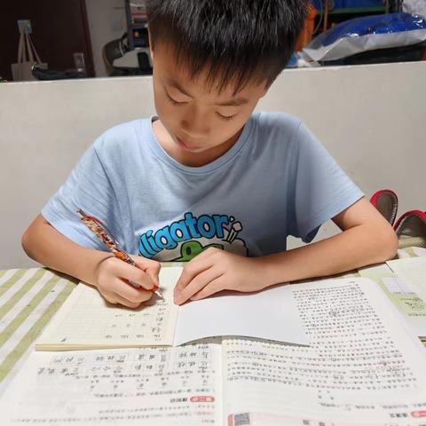 我的暑假生活