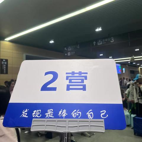 小狮子的冒险之旅