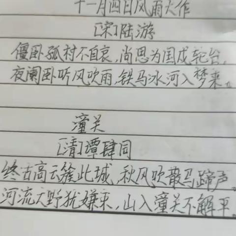 我的一周