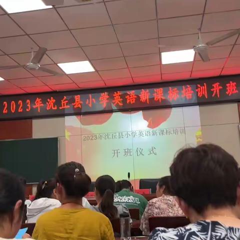 2023年沈丘县小学英语新课标培训