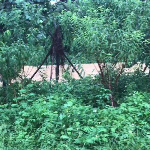 洪水无情人有情，揭阳市红太阳慈善会救助队组织抗洪应急备勤。