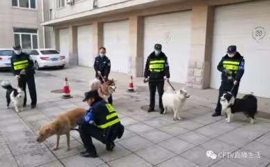 赤峰一日游（警犬基地）