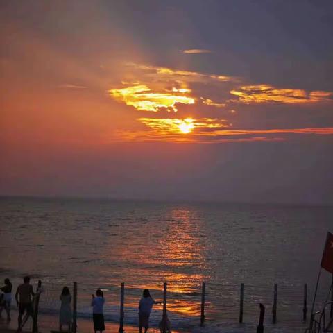 暑假总结【宁怡冉】