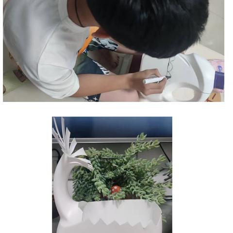 龙口市实验中学“夏日织梦·劳动助我成长”劳动实践活动