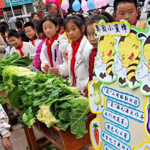 “蔬”香为伴，“菜”见美好 ——环城小学首届丰收节劳动实践基地“上善园”蔬菜义卖活动