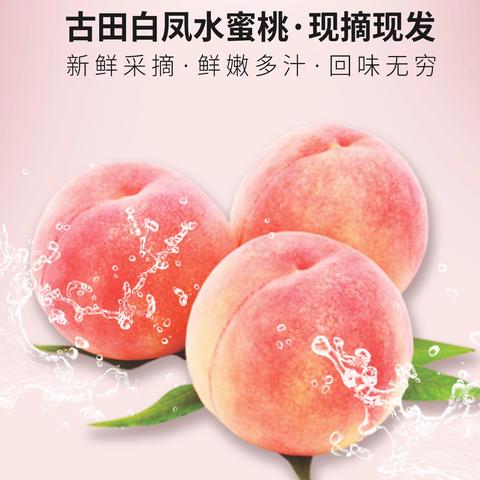 融侨名筑2024年6月工作简报