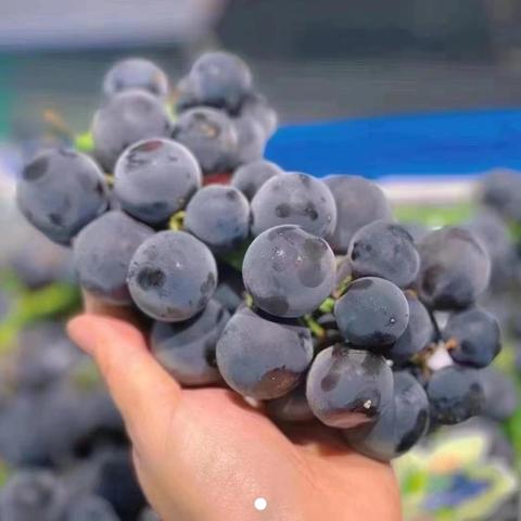 融侨名筑物业2024年7月工作简篇