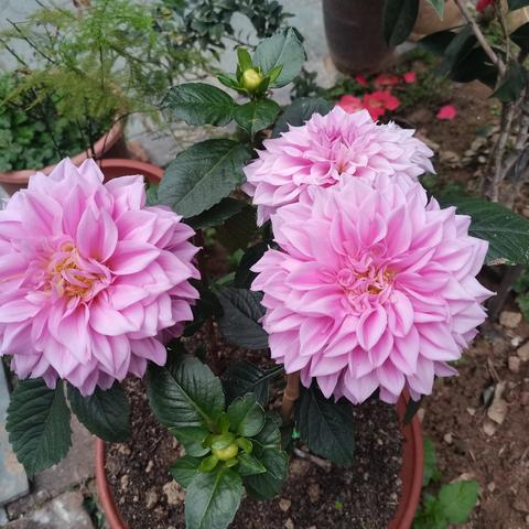 水都名筑2025年3月工作简报