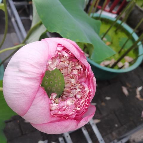 水都名筑2025年6月工作简报