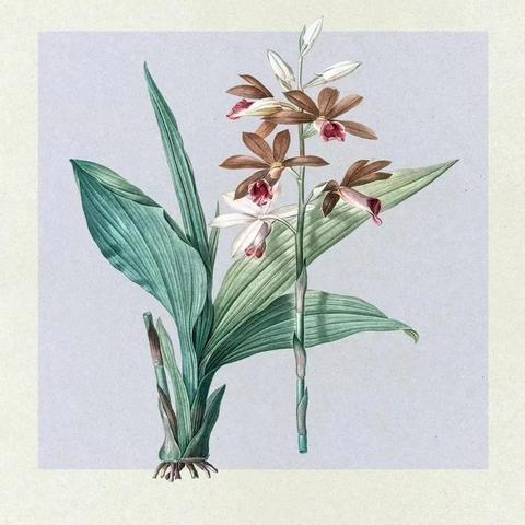 融侨水都名筑2025年10月工作汇报