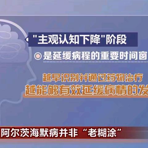 与记忆走失者的温柔对峙：阿尔茨海默病护理的情感必修课
