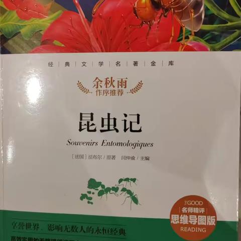 聆听昆虫物语 ‍探寻生命乐趣