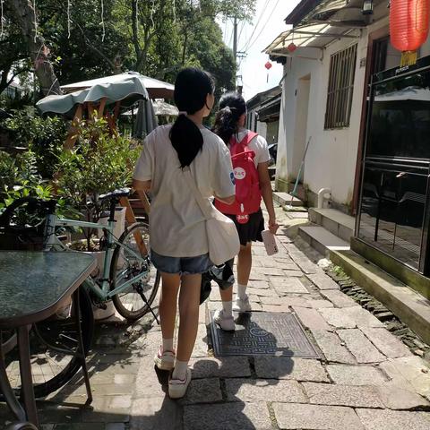 游同里古镇葑门横街和网师园