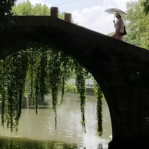 词