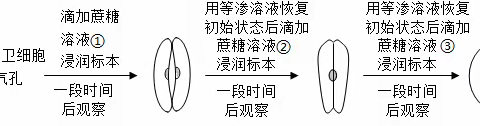 漳平二中开展“迎七一，颂党恩”主题活动