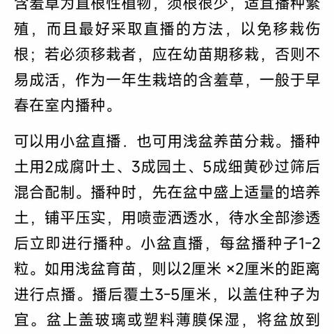 可爱的含羞草——幼嫩程度与其灵敏度有关吗？