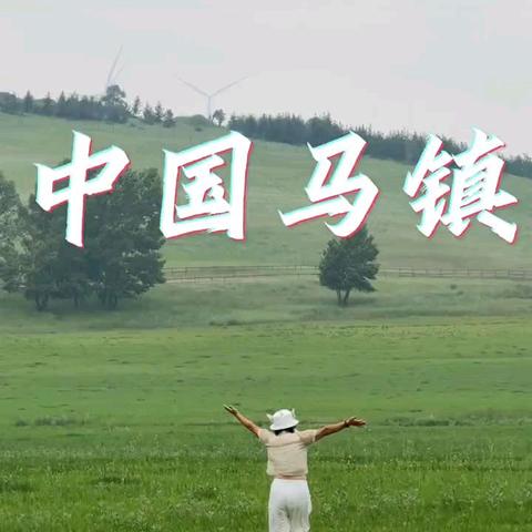 坝上草原两日游，一站游玩马镇+童话草原景区