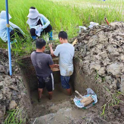 定安县农业科技发展中心完成新建省级耕地质量监测点土壤剖面性状取样工作